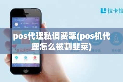 pos代理私调费率(pos机代理怎么被割韭菜)