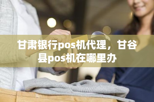 甘肃银行pos机代理，甘谷县pos机在哪里办