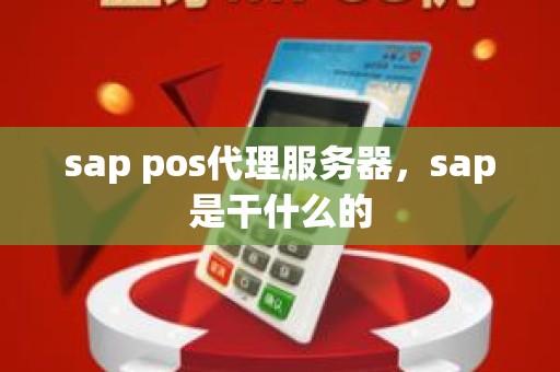 sap pos代理服务器，sap是干什么的