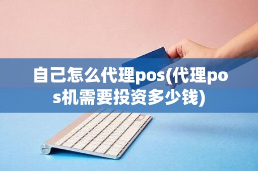 自己怎么代理pos(代理pos机需要投资多少钱)