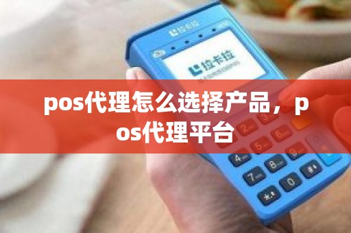 pos代理怎么选择产品，pos代理平台