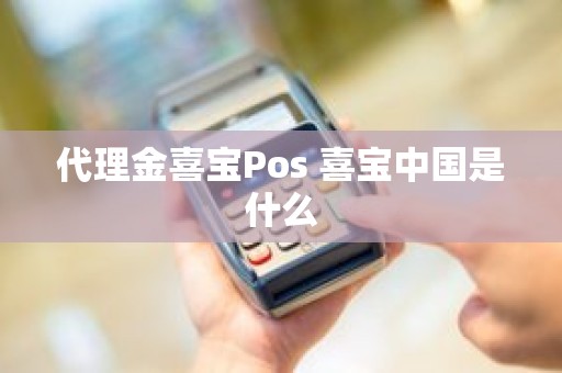 代理金喜宝Pos 喜宝中国是什么