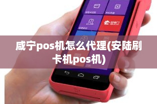 咸宁pos机怎么代理(安陆刷卡机pos机)