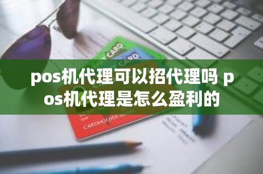 pos机代理可以招代理吗 pos机代理是怎么盈利的