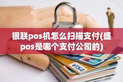 银联pos机怎么扫描支付(盛pos是哪个支付公司的)