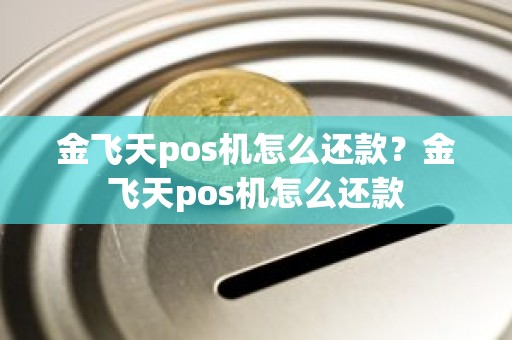 金飞天pos机怎么还款？金飞天pos机怎么还款