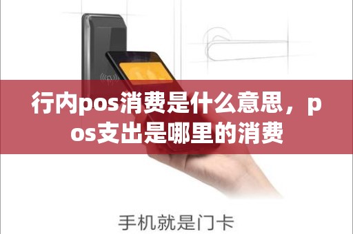 行内pos消费是什么意思，pos支出是哪里的消费