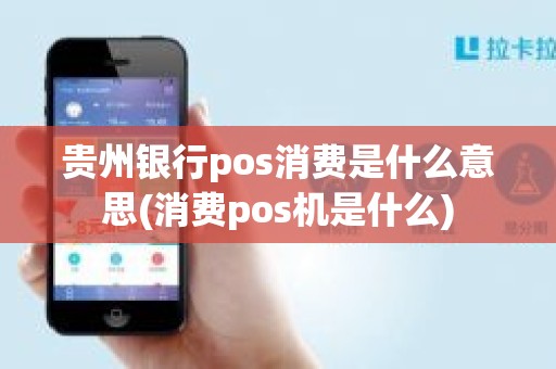 贵州银行pos消费是什么意思(消费pos机是什么)