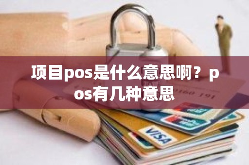 项目pos是什么意思啊？pos有几种意思