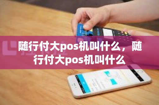 随行付大pos机叫什么，随行付大pos机叫什么