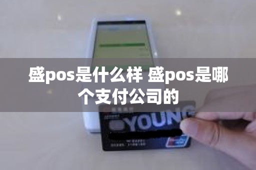 盛pos是什么样 盛pos是哪个支付公司的