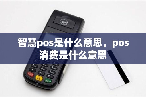 智慧pos是什么意思，pos消费是什么意思