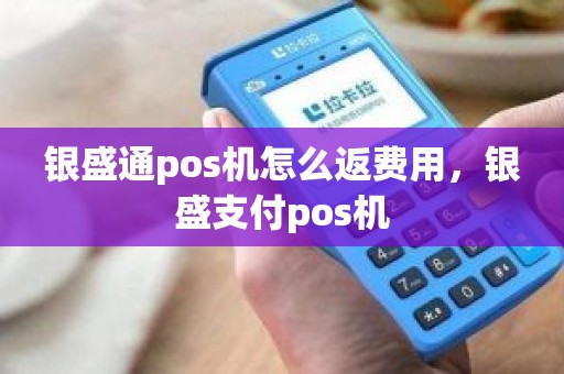 银盛通pos机怎么返费用，银盛支付pos机