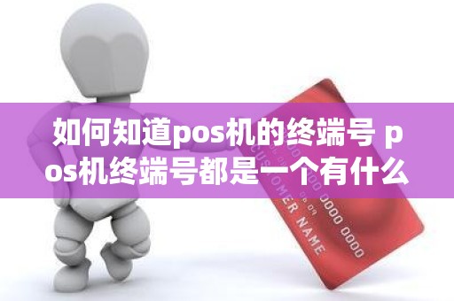 如何知道pos机的终端号 pos机终端号都是一个有什么影响