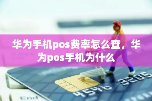 华为手机pos费率怎么查，华为pos手机为什么