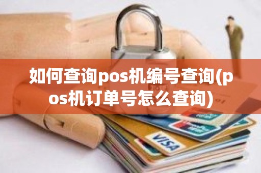 如何查询pos机编号查询(pos机订单号怎么查询)