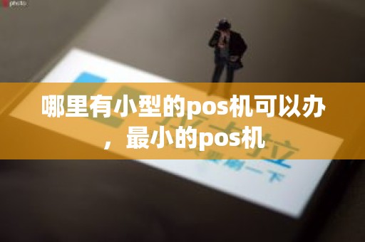 哪里有小型的pos机可以办，最小的pos机