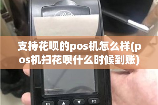 支持花呗的pos机怎么样(pos机扫花呗什么时候到账)