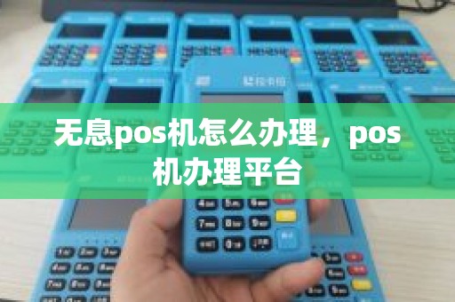 无息pos机怎么办理，pos机办理平台