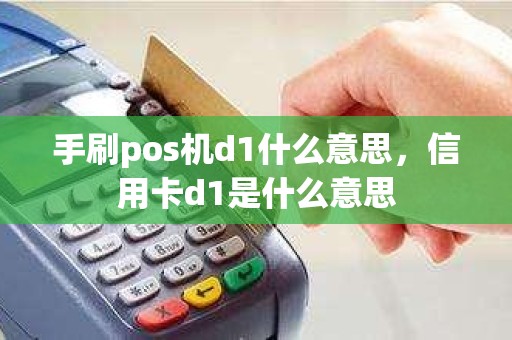 手刷pos机d1什么意思，信用卡d1是什么意思