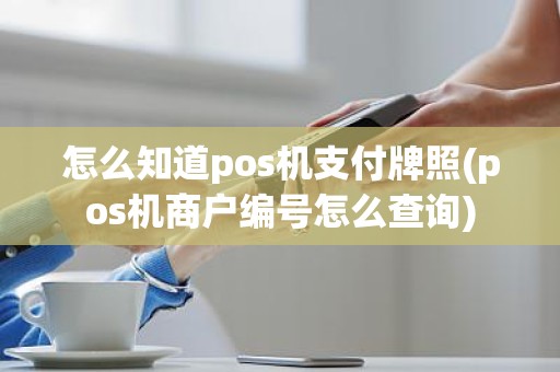 怎么知道pos机支付牌照(pos机商户编号怎么查询)