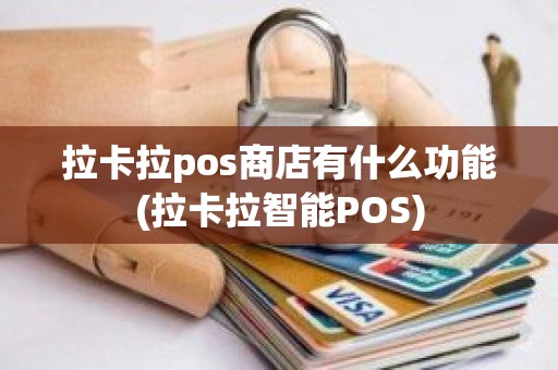 拉卡拉pos商店有什么功能(拉卡拉智能POS)