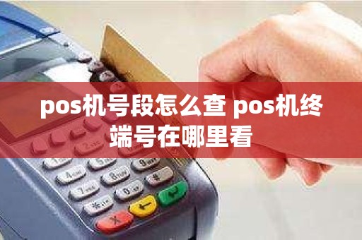 pos机号段怎么查 pos机终端号在哪里看