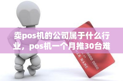 卖pos机的公司属于什么行业，pos机一个月推30台难吗