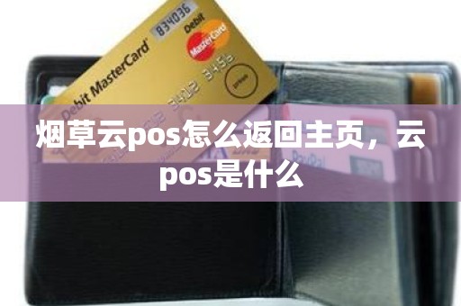 烟草云pos怎么返回主页，云pos是什么