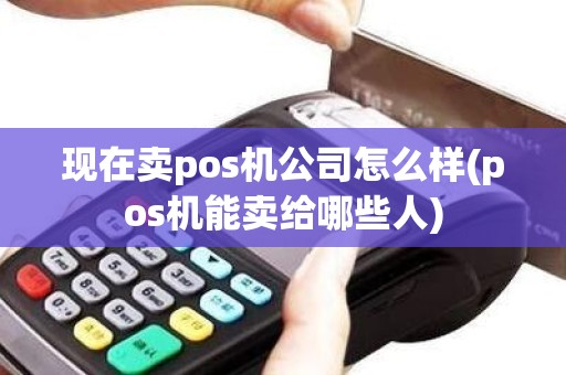 现在卖pos机公司怎么样(pos机能卖给哪些人)