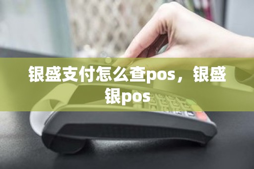 银盛支付怎么查pos，银盛银pos