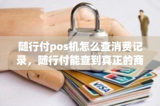 随行付pos机怎么查消费记录，随行付能查到真正的商户吗