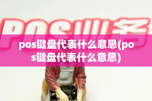 pos键盘代表什么意思(pos键盘代表什么意思)