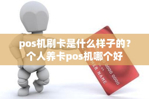 pos机刷卡是什么样子的？个人养卡pos机哪个好