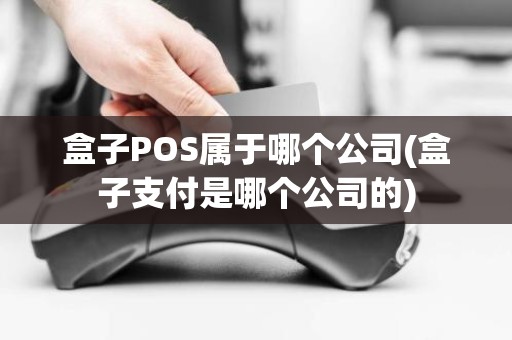 盒子POS属于哪个公司(盒子支付是哪个公司的)