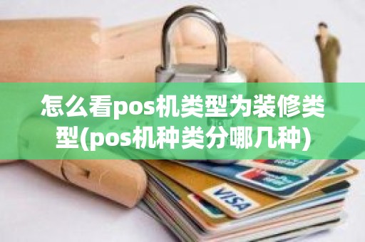 怎么看pos机类型为装修类型(pos机种类分哪几种)