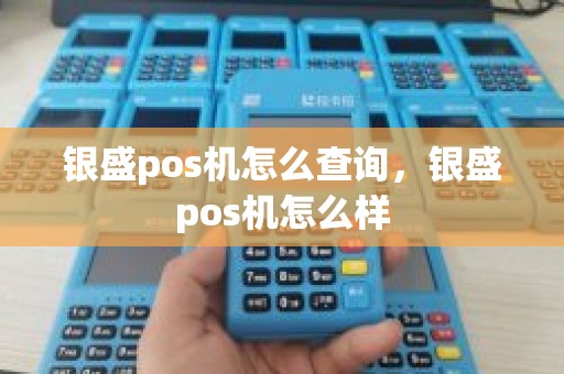 银盛pos机怎么查询，银盛pos机怎么样