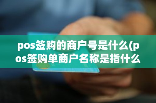 pos签购的商户号是什么(pos签购单商户名称是指什么)