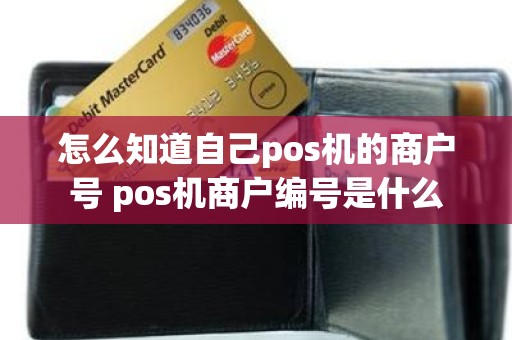 怎么知道自己pos机的商户号 pos机商户编号是什么