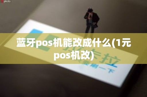 蓝牙pos机能改成什么(1元pos机改)