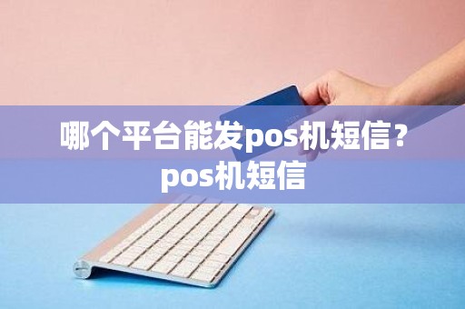 哪个平台能发pos机短信？pos机短信