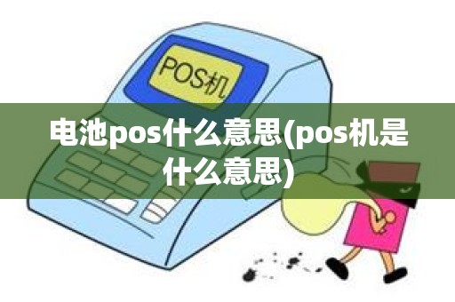 电池pos什么意思(pos机是什么意思)