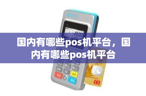 国内有哪些pos机平台，国内有哪些pos机平台