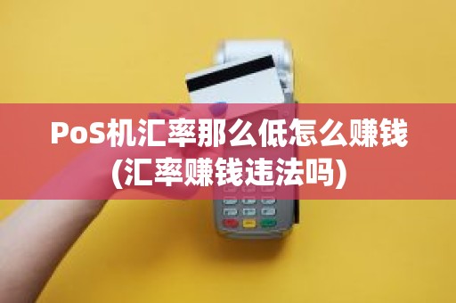 PoS机汇率那么低怎么赚钱(汇率赚钱违法吗)