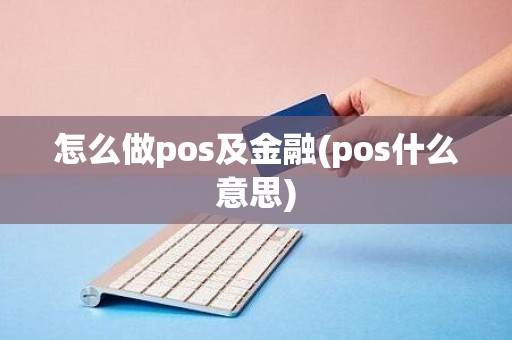 怎么做pos及金融(pos什么意思)