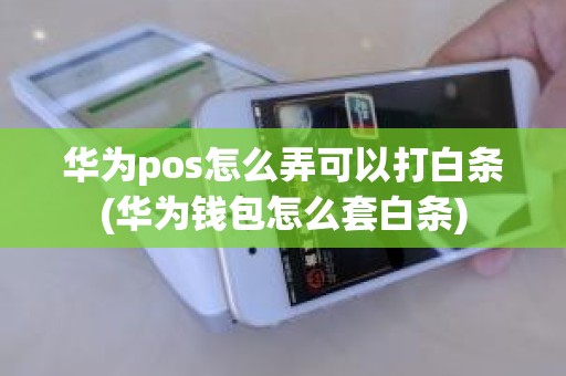 华为pos怎么弄可以打白条(华为钱包怎么套白条)