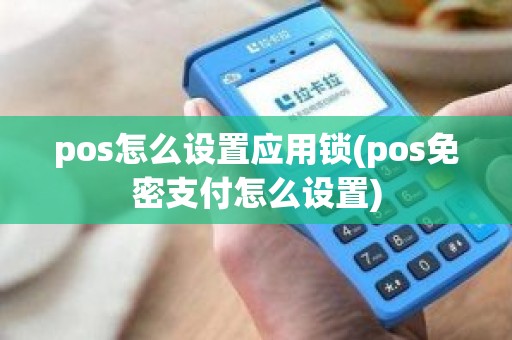 pos怎么设置应用锁(pos免密支付怎么设置)