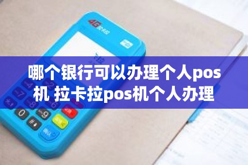 哪个银行可以办理个人pos机 拉卡拉pos机个人办理