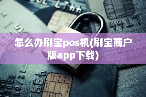 怎么办刷宝pos机(刷宝商户版app下载)