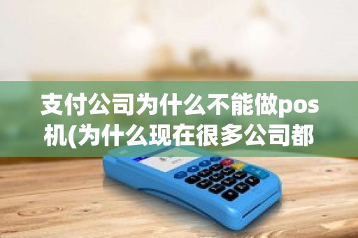 支付公司为什么不能做pos机(为什么现在很多公司都卖pos机)